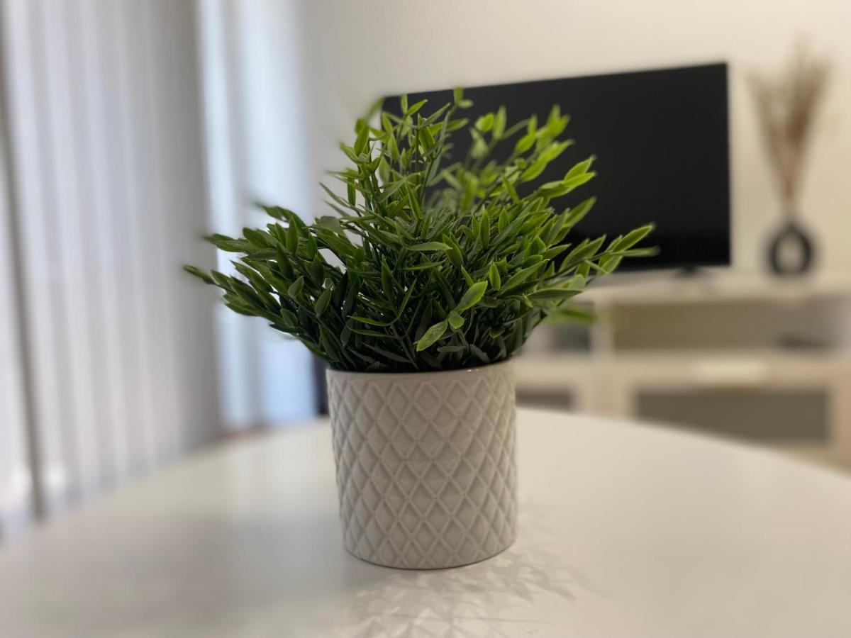 Apartamento Borgia - Gandía Exteriör bild